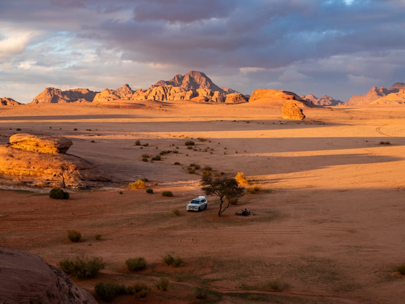 تبوك